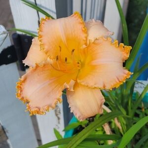 Meet your Posher, Kristen